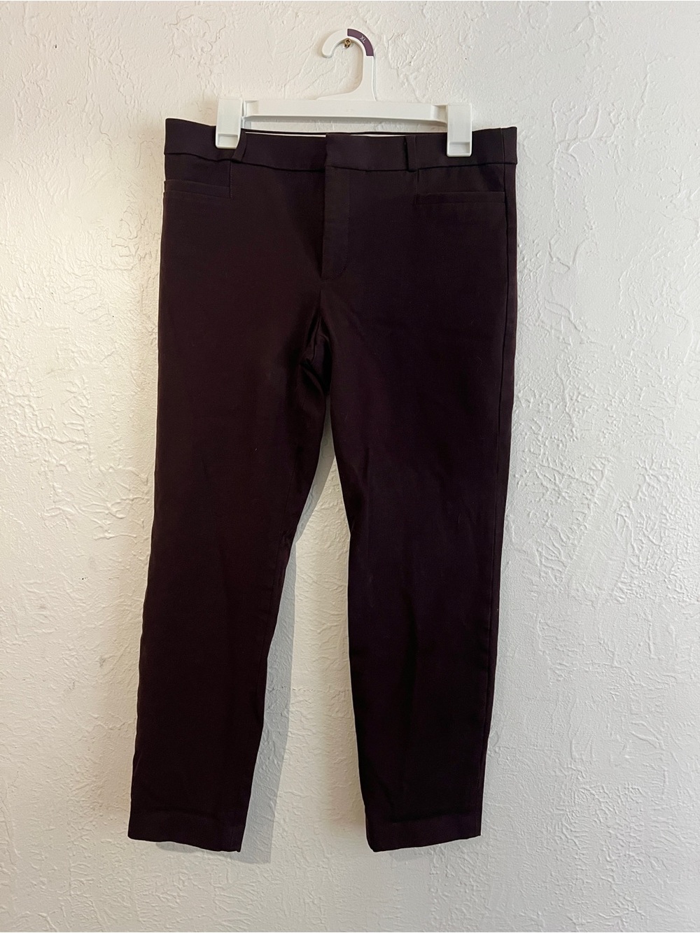 Banana Republic Women’s Chinos in Dark Brown